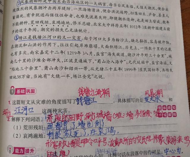 读书征文标题怎么取名称？读书征文标题怎么写-第1张图片-