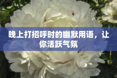 ​晚上打招呼时的幽默用语，让你活跃气氛