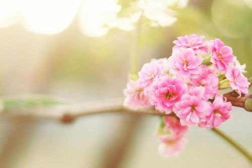 庆祝中秋节教师节双节简短祝福语(精选135句)