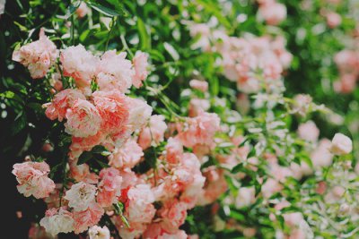 ​教师节中秋节同一天怎么写祝福文案(精选97句)