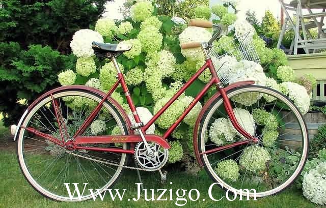 三年级好词好句大全