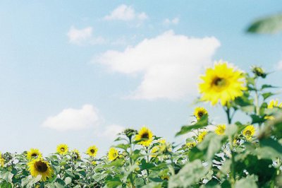 ​抖音元宵节祝福简语大全抖音元宵节祝福语(精选78句)