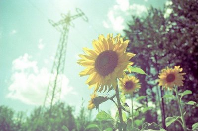 ​中秋节教师节双节简短文案(中秋节和国庆节同一天文案)