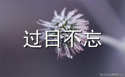 ​妇女节快乐祝福短句(精选116条)