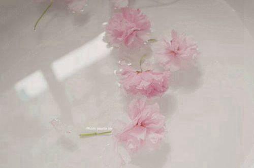 人生哲理的句子经典