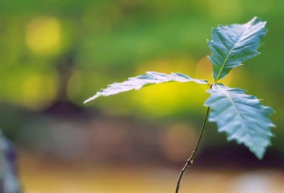 ​有性格的网名（精选53个）